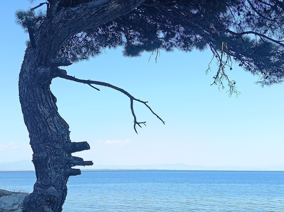 Vathi Beach-Chrissi Ammoudia必去景点