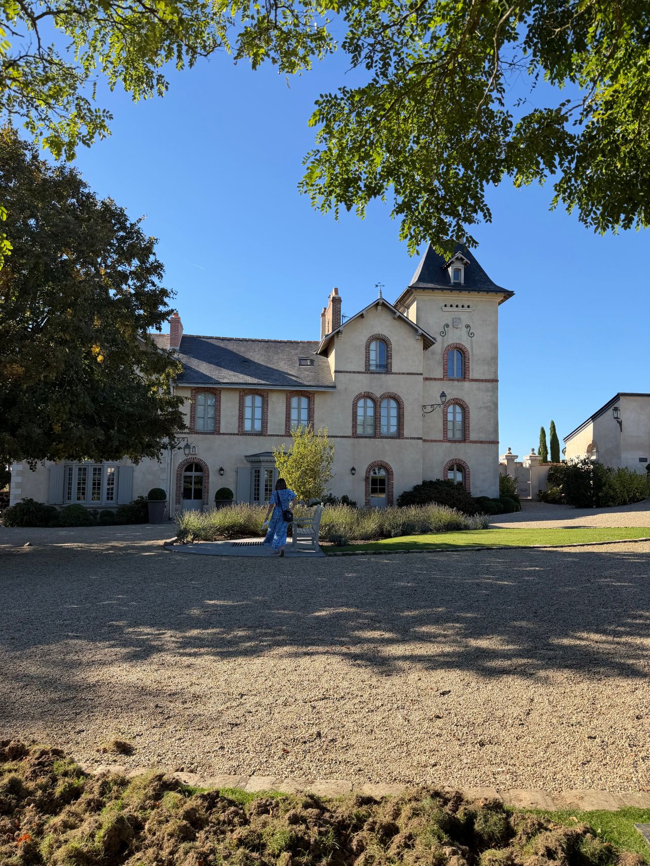 德蒙苏谢瑞住宿加早餐旅馆-旅行者