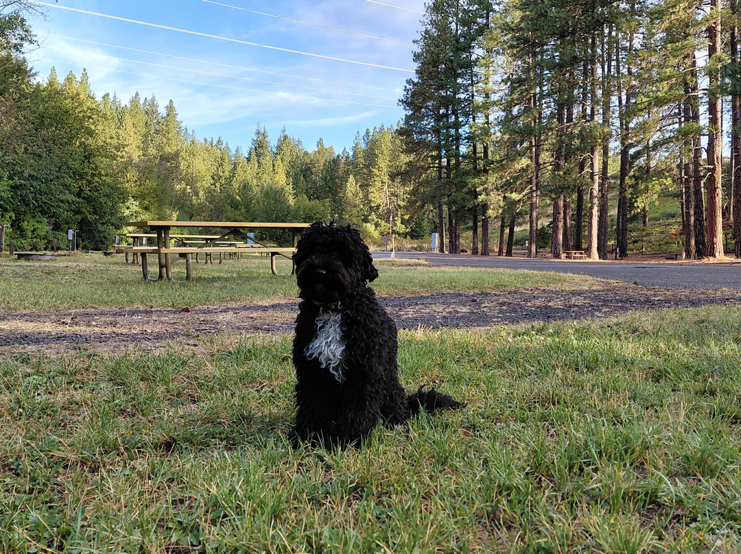 Brooks Memorial State Park