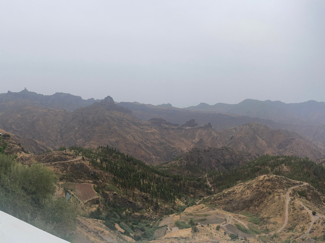 El mirador de miguel