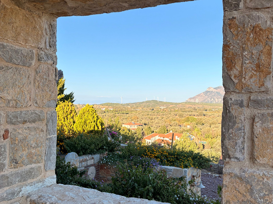 Datca Vineyard & Winery-Datca必去景点