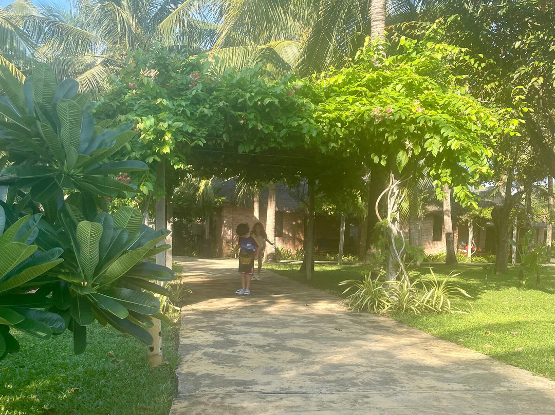 ENSO Retreat Hoi An - Rediscovery & Serenity主图
