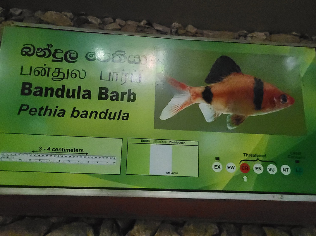 Dehiwala Zoo - Sri Lanka-拉非尼亚山必去景点