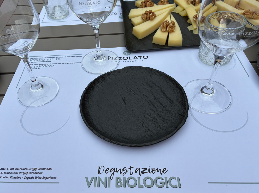 Cantina Pizzolato Società Benefit - Organic Wine Experience-维洛尔巴必去景点