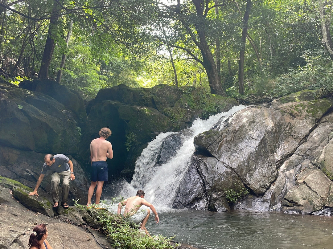 Oropopo Experience-Playa Avellanas必去景点