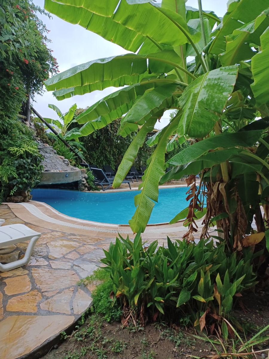 Dalyan Central Park Hotel-泳池