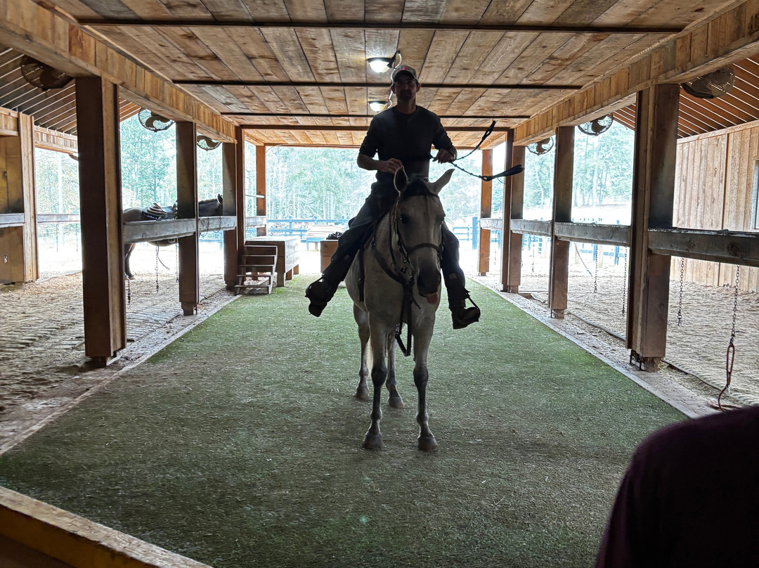 Appalachian Trail Rides-Mineral Bluff必去景点