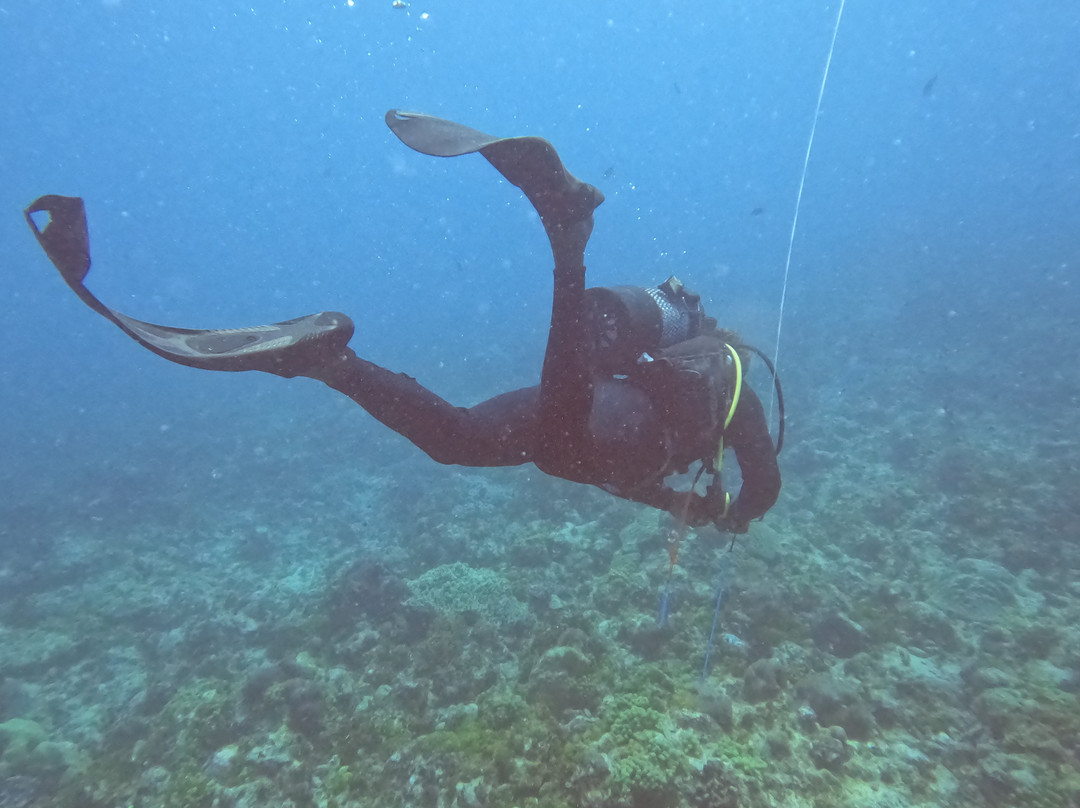 Buccaneer Diving-帕杰必去景点
