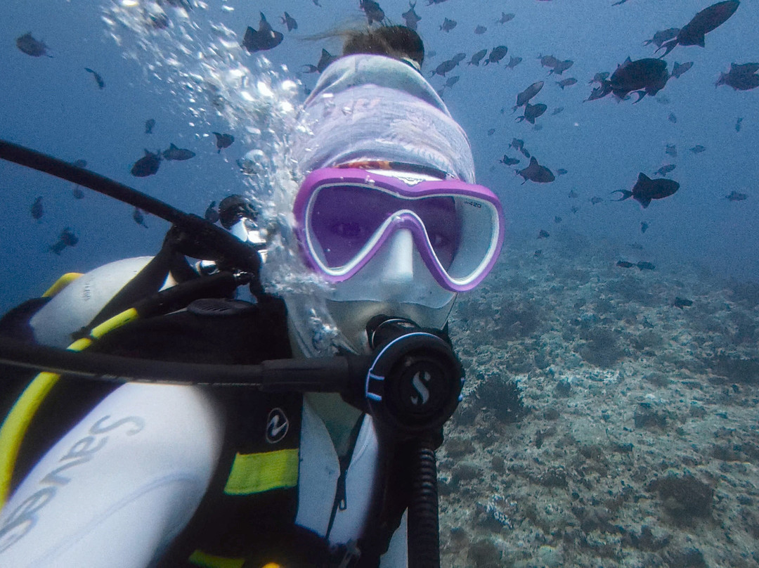 Ocean Dive & Watersports Rasdhoo-拉斯胡必去景点