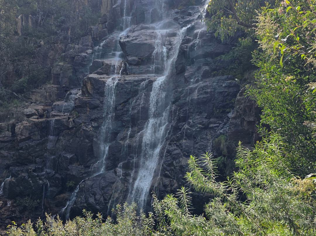 Bluff Falls-Cudgewa必去景点