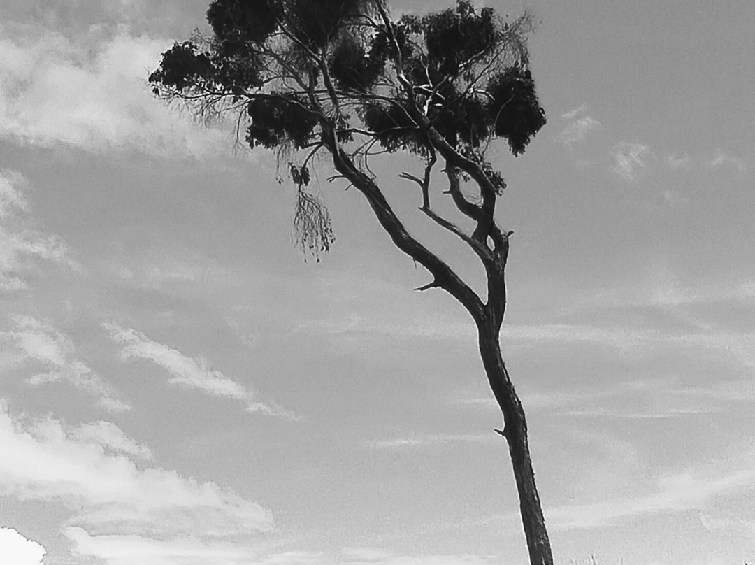 Boyacá Travels S.A.S.-El Cocuy必去景点