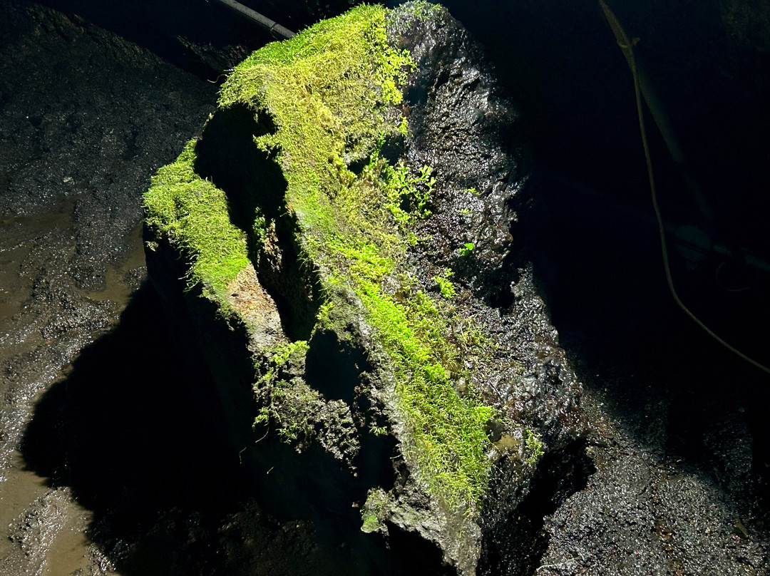 Komakado Kazaana Cave-御殿场市必去景点