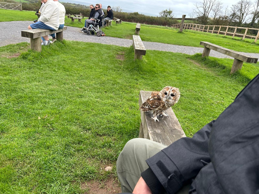 The British Bird of Prey Centre-喀麦登必去景点
