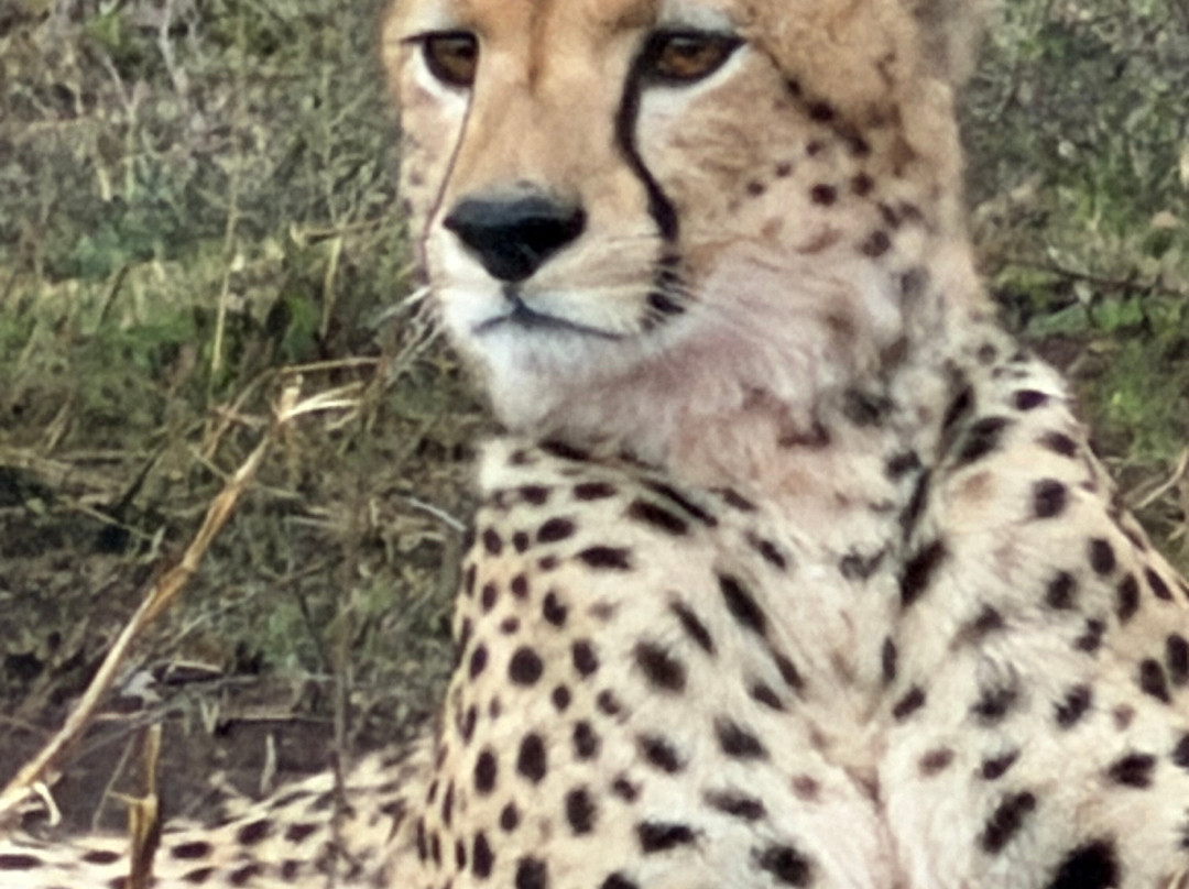 Sereland Africa Safaris-Sakina必去景点