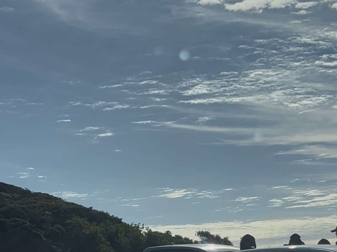 Chapman's Peak Drive-开普敦中心区必去景点
