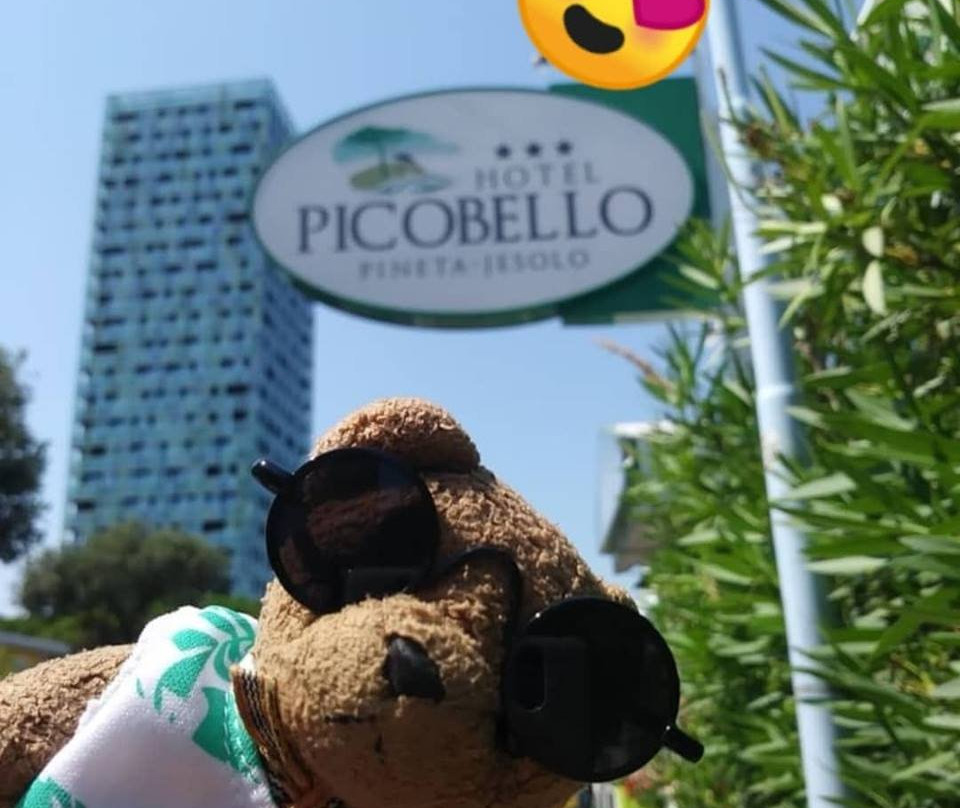 Hotel  Picobello