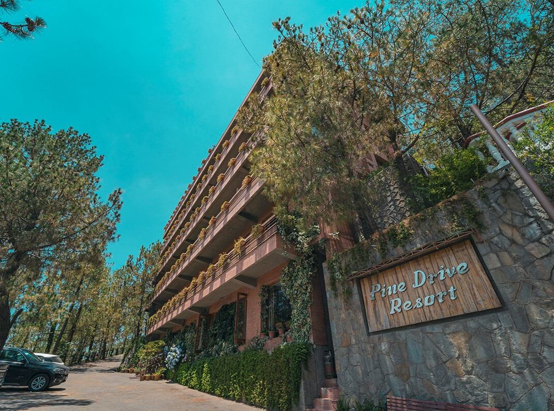 Kumarhatti酒店住宿-Pine Drive Resort