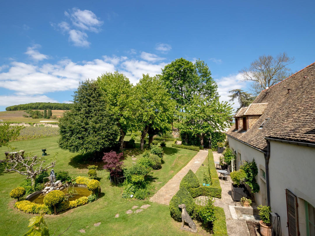 Savigny-les-Beaune旅游攻略图片