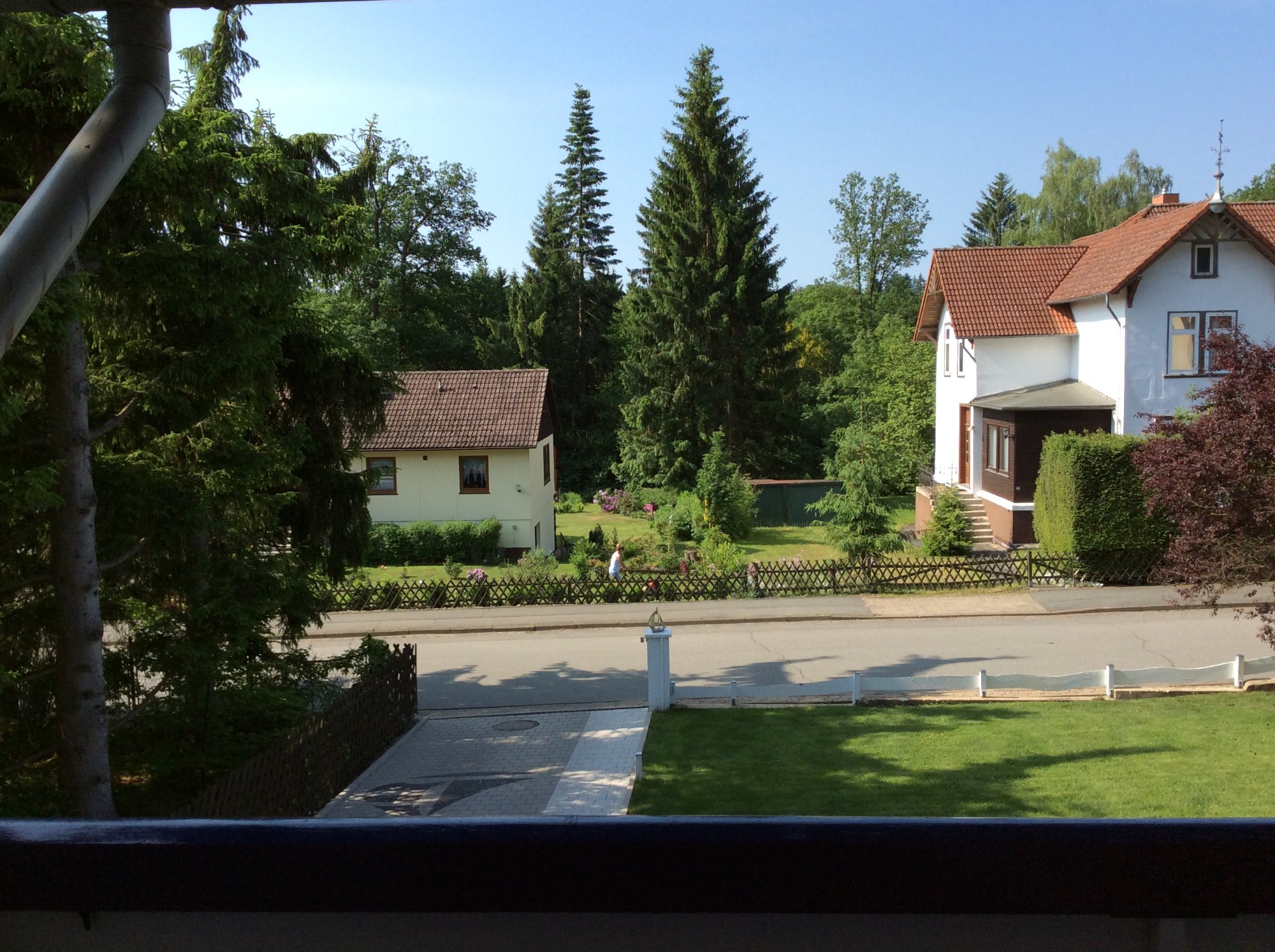 Hotel Waldsegler-酒店景观