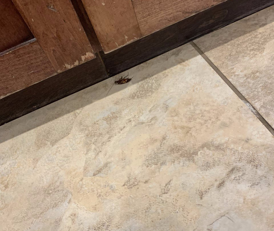 Holiday Inn Express & Suites Lavonia By IHG主图