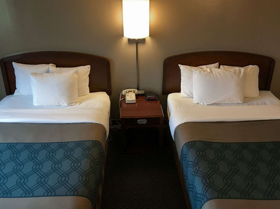 Econo Lodge Darien Lakes主图