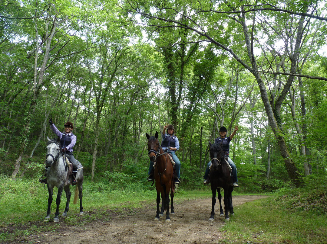 Miki Horse Trek景点图片