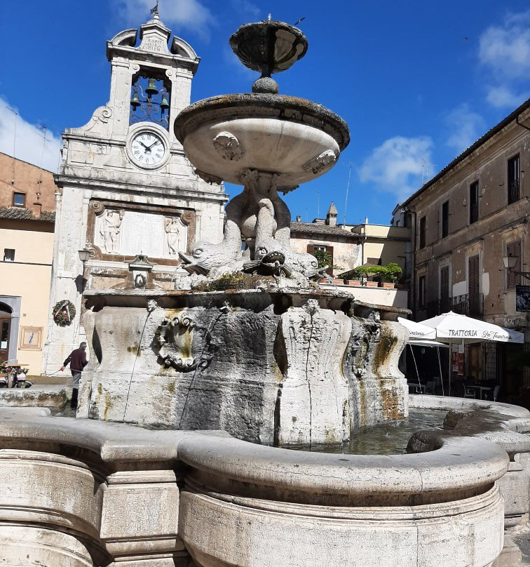 Fontana dei Delfini景点图片