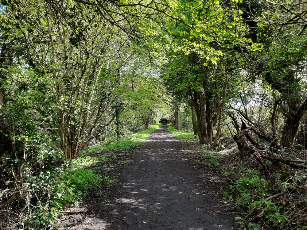 Lavenham To Long Melford Rail Walk景点图片