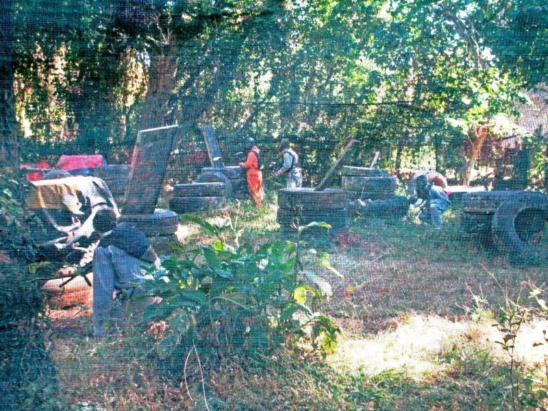 Ruwa旅游景点-Paintball Blitz