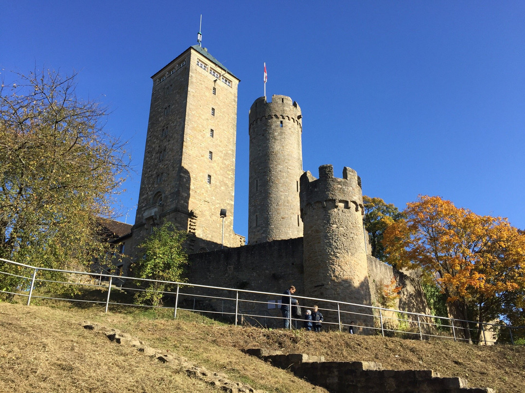 Burg Starkenburg景点图片