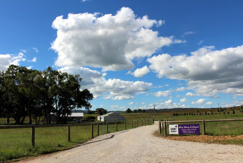 SHORT SHEEP Farm & Micro-Winery景点图片