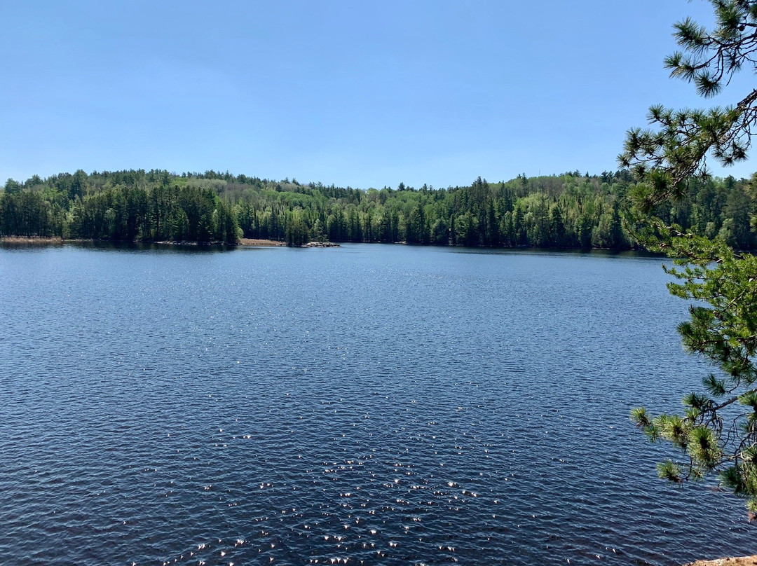 Sullivan Bay Trail景点图片