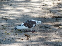Brendan T. Byrne State Forest-New Lisbon必去景点