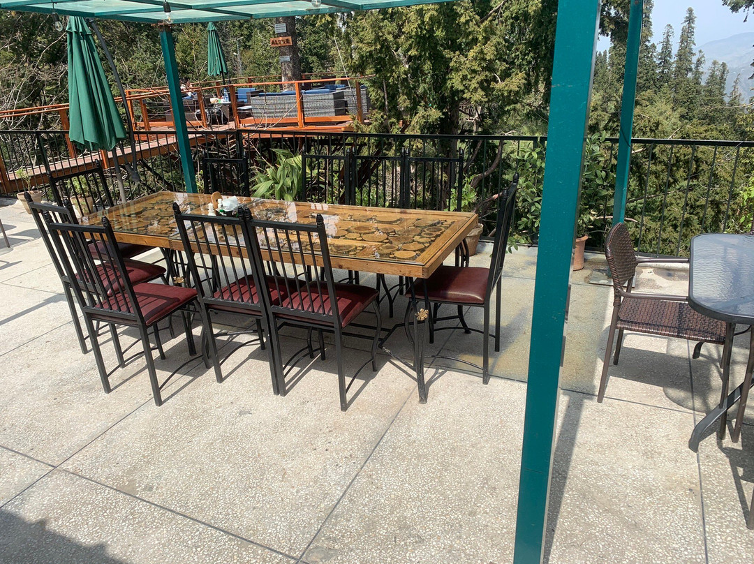 纳西亚加利高山酒店