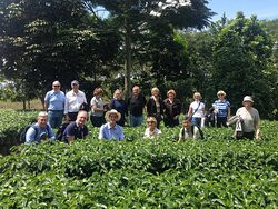 Cafe de Altura-Quimbaya必去景点