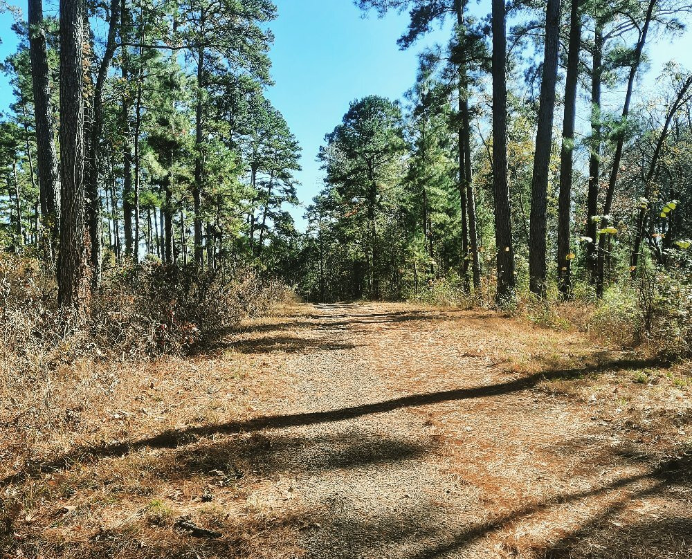Atlanta State Park-Atlanta必去景点