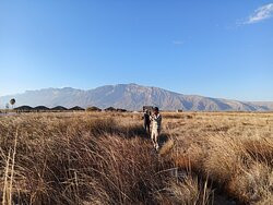 Rio Los Mesquitez-Cuatro Cienegas必去景点