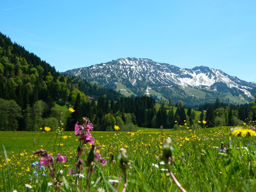 Unterjoch酒店住宿-Berg- und Aktivhotel Edelsberg