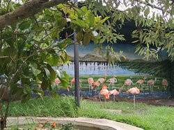 Zoologico de San Martin景点图片