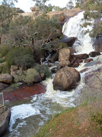 John Forrest National Park-Greater Perth必去景点