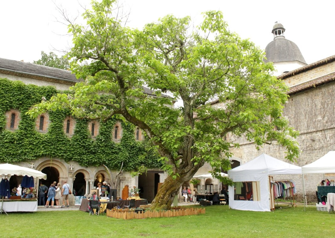 Abbaye Cistercienne de L'Escaladieu-Bonnemazon必去景点
