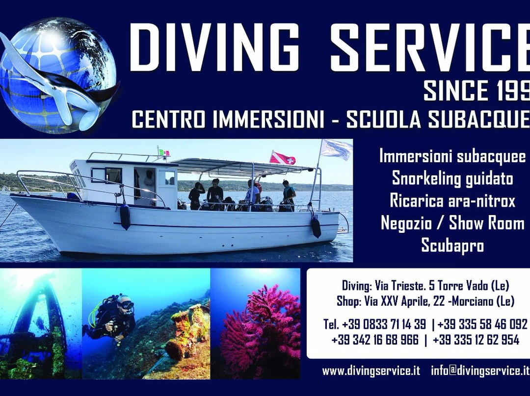 Diving Service景点图片
