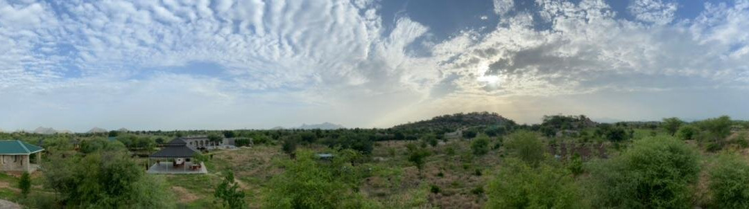 Jawai Leopard Safari Lodge主图