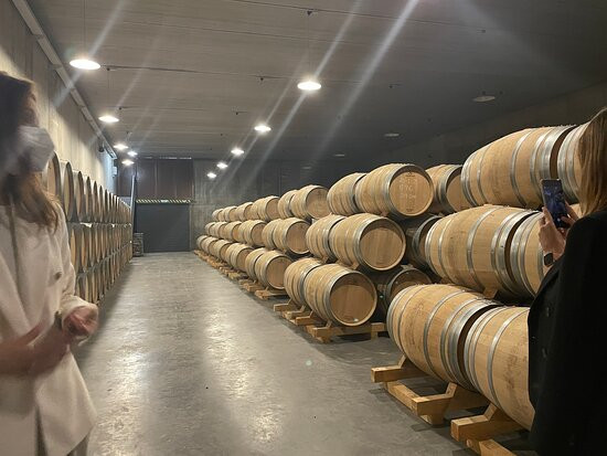 Bodega Conde de los Andes-Ollauri必去景点