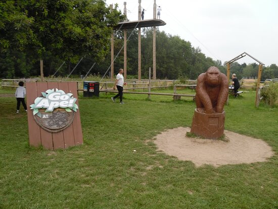 Go Ape Chessington-Chessington必去景点