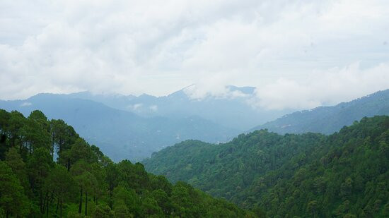 Forest Ville Hotel & Resort主图