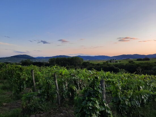 Domaine aux 4 Temps主图