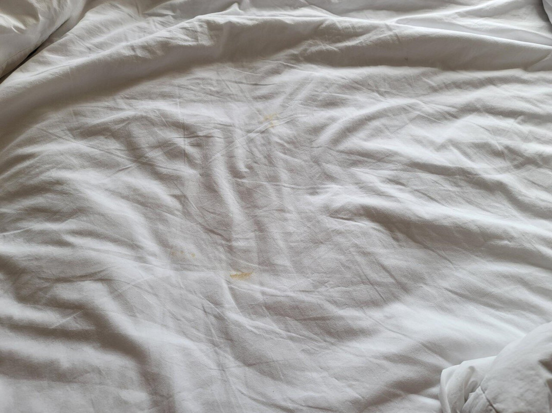 Hyatt House Philadelphia/Plymouth Meeting主图