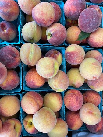 Troyers Country Market-Millersburg必去景点