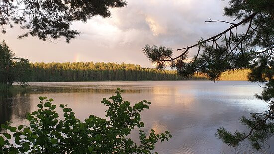 Petkeljärven Kansallispuisto-Ilomantsi必去景点